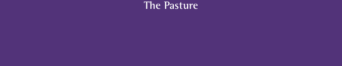 The Pasture