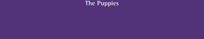 The Puppies